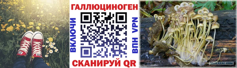 Галлюциногенные грибы Cubensis  купить наркотик  Чухлома 