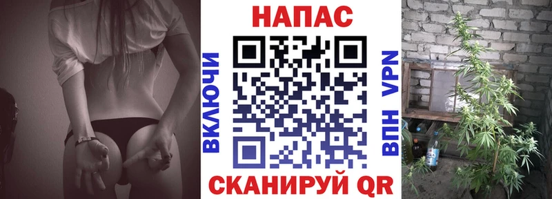 купить закладку  Чухлома  Каннабис Amnesia 